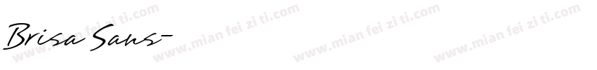 Brisa Sans字体转换